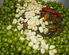 condiolio da molitura di olive ed Aglio rosso di NUBIA e peperoncino verde -   ---Azienda  l'ampolla d'olio--- 
