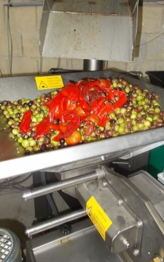 CONDIOLIO  da molitura di olive e peperoncini -   ---Azienda  l'ampolla d'olio--- 