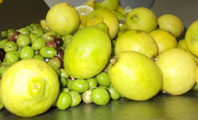 condiolio da molitura di olive e limoni -   ---Azienda  l'ampolla d'olio--- 
